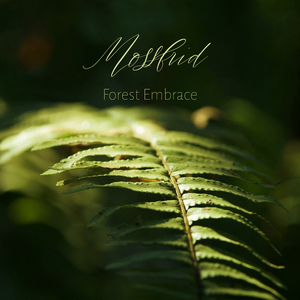 成人黑桃tv网址入口在线观看
